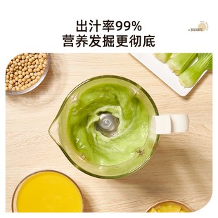 顺然打流食破壁机老人专用辅食料理机饭菜食物粉碎鼻饲胃管搅拌机