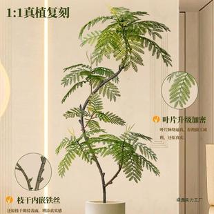 植蓝绿花楹室内盆栽大型生植物假树轻装奢客厅饰品仿F9765777落地
