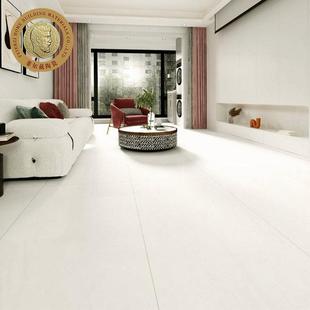 菲尔兹柔光微水泥砖750x板1500厨房卫生间墙砖客厅86933防滑地瓷