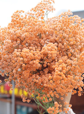 买一送一超大束云南满天星干花花束家用鲜花真花客厅装饰摆件礼物