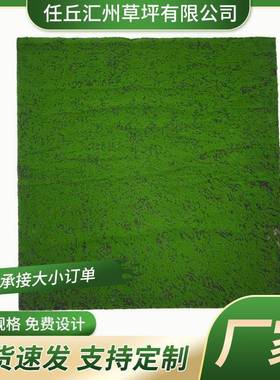 人造青苔坪绿色植物橱微景观工XH-CP30程假苔草藓造景装全铺仿窗