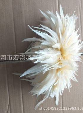 扎把色毛穿条配5染-FYC尖6英寸彩色鸡毛服装料饰品配件