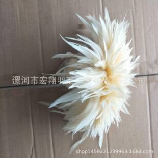 扎把色毛穿条配5染-FYC尖6英寸彩色鸡毛服装料饰品配件