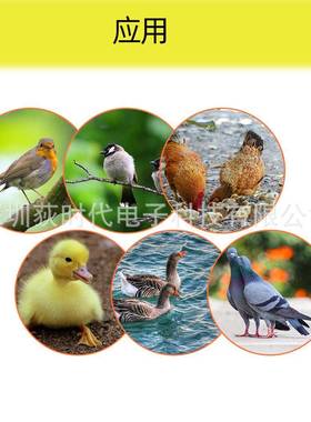 器鸡托蛋孵化器KHT孵56个化鸡鸭孵化机220V孵化器盘带自动旋转电