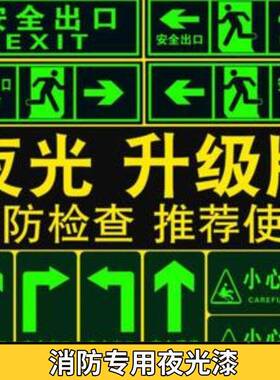 光油夜漆光艺黑术漆蓄光光能夜反光夜光漆发橙色荧光漆HS-36569喷
