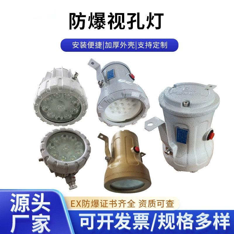 防爆视孔灯BSD96化学容器LED视孔灯12V24V36V220V反应釜视镜灯