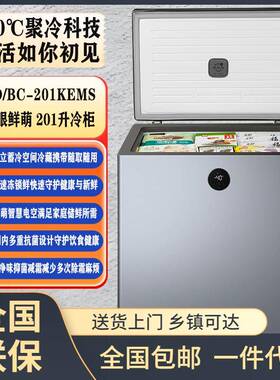 家用201L冰柜-40℃gki速冻锁鲜减霜冷冻柜一级能效冷藏冷冻转化柜