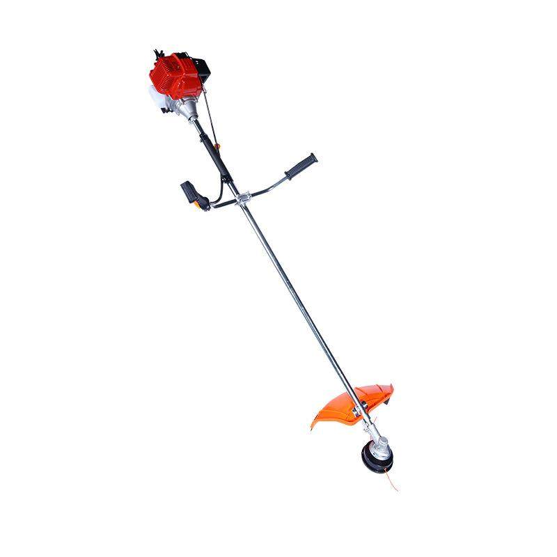 背负式汽油割草机 多功能割灌机 大棚除草机 专业割草机,鲜花速递/花卉仿真/绿植园艺,割草机/草坪机,淘宝优惠券,粉丝福利购,淘宝优惠卷