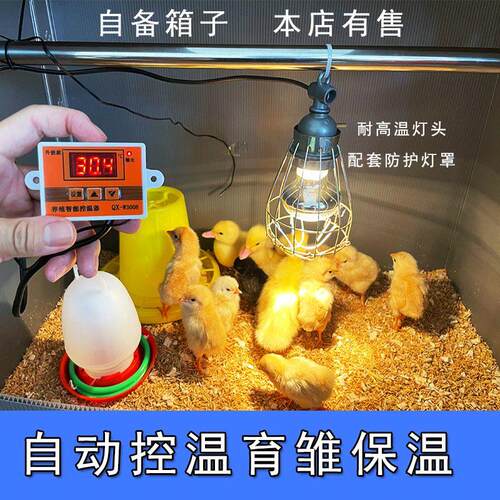 小鸡保温箱自动控制温度鹌鹑育雏箱幼鸟宠物保温箱育雏幼苗保温箱