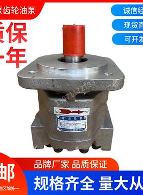 齿轮油泵CBXf3040-1L四川长江液压泵CBXf3050-1R/L高压泵动力油泵
