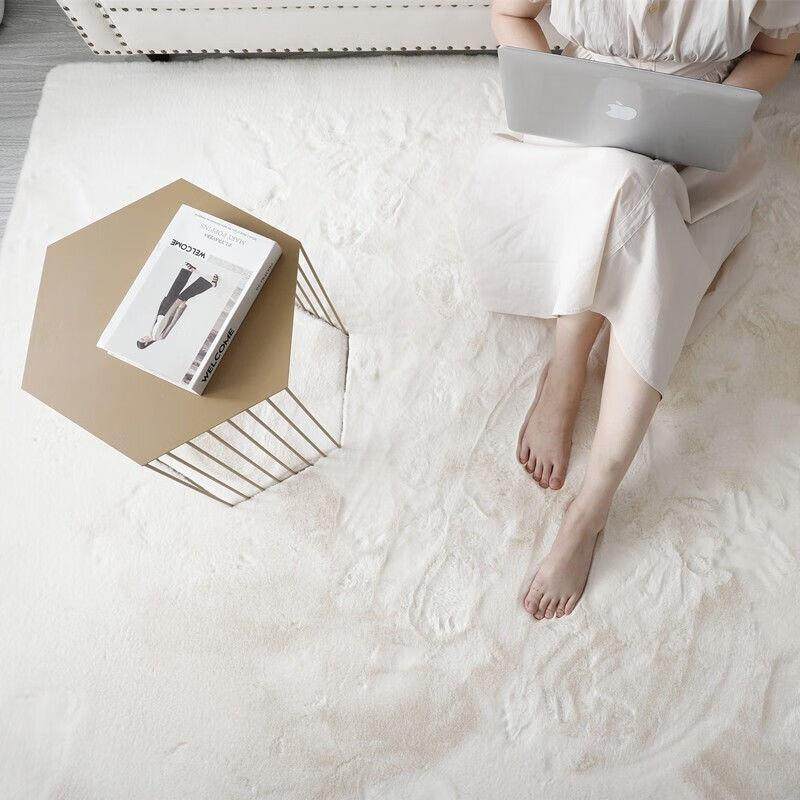 地毯客加厅厚大面in积厂家直供s风高级卧室毛长绒地垫子现代简约