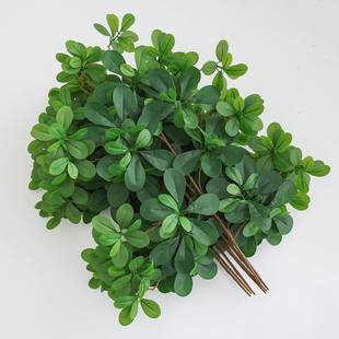 仿真树叶榕树叶树枝假叶子绿色植物塑料假树室内装饰福禄桐