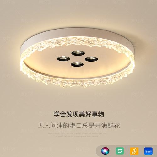 轻奢主卧室灯简约现代led吸顶灯高级感客厅灯新款餐厅灯书房灯具