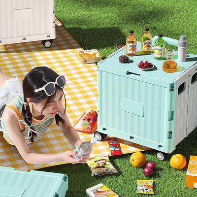 老年人买菜拉购物车外便携式超市菜篮拉杆车8803车户露营摆摊小小