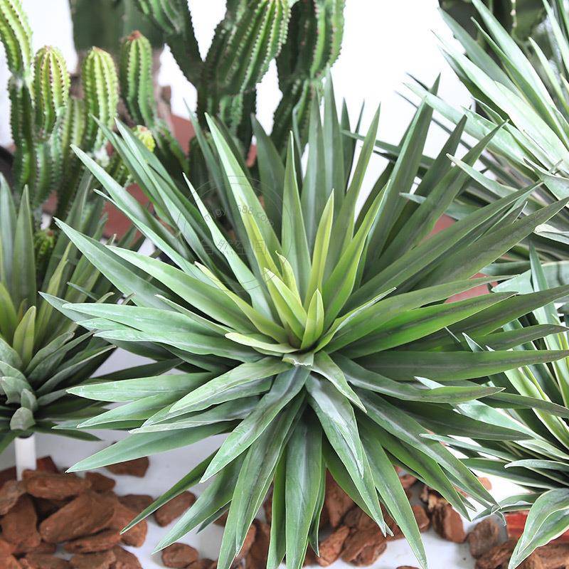 超天伦柱生物龙舌兰大型沙生景PUxrz-29植观造景仿真仙人大掌仙人