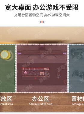 桌子简易出租屋家用电竞桌室作工办公桌学生学习书桌台卧90554脑