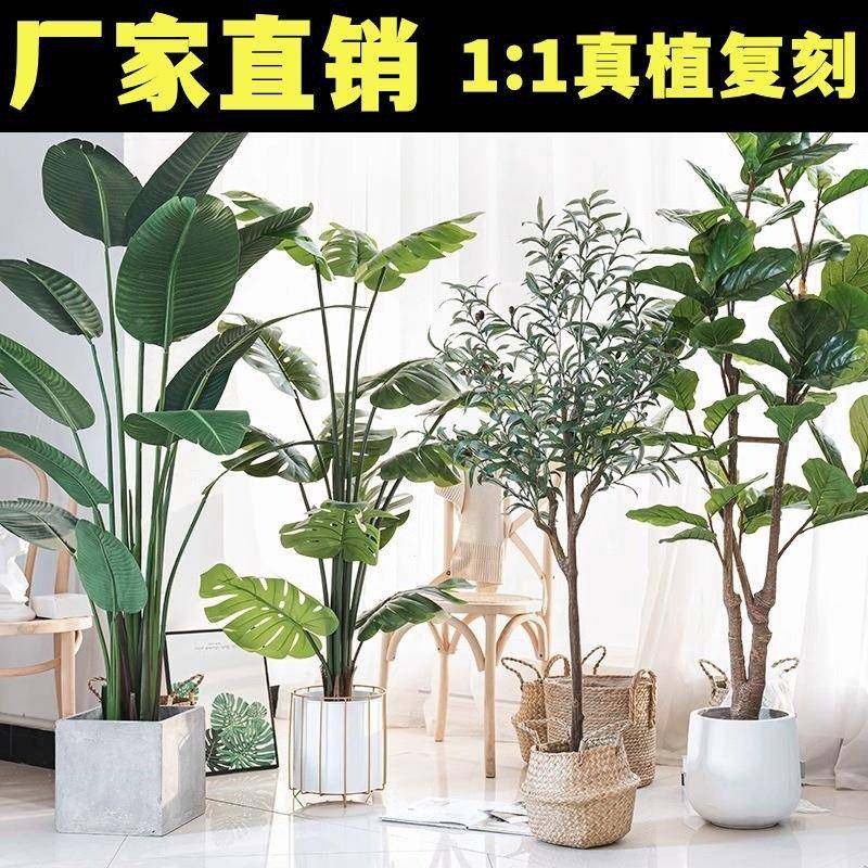 简约风仿景真树落地摆植居件高旅人蕉-0端轻奢家装饰盆仿真绿旅人,鲜花速递/花卉仿真/绿植园艺,仿真绿植,淘宝优惠券,粉丝福利购,淘宝优惠卷
