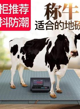 地磅秤称猪牛秤羊防抖动1-3ZAO吨平工业小秤电型子地磅称台包邮