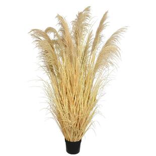 北真欧isn仿真天芦苇洋葱草FZ00072盆栽然落地摆件仿绿植