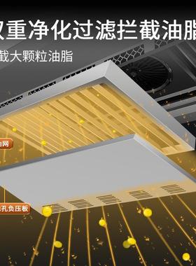 商业厨房全烟套油净化一体学单校位饭机店餐饮ZBT厨房油烟净化设