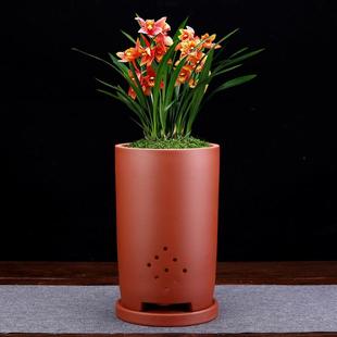 桩紫砂花宜AXX兴形盆景盆盆带底座兰花专用悬崖文圆竹老精品盆中