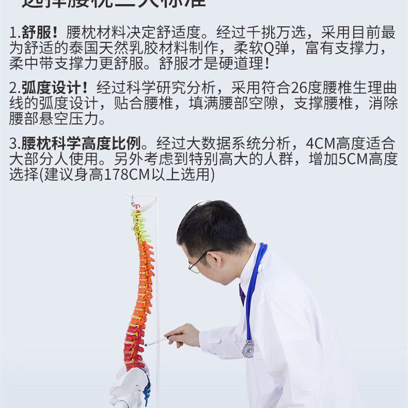 骨科医生推荐床上乳胶护腰枕孕妇靠垫支撑加长透气不闷热薄腰垫