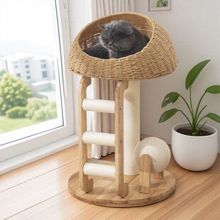 实木猫爬架家用剑麻猫抓板磨爪猫树一体眺望台不占地猫咪爬架猫架