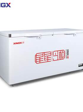 星星商用冷柜400-500-700升冰柜单温全冷冻商用冰柜