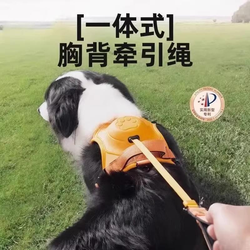中大型狗牵引绳胸背一体可伸缩遛狗绳中大型犬拉布拉多专用牵引绳