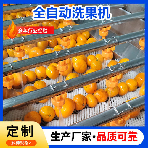 柠檬全自动清洗选果机水果清洗风干分级机源头工厂柑橘打蜡清洗机
