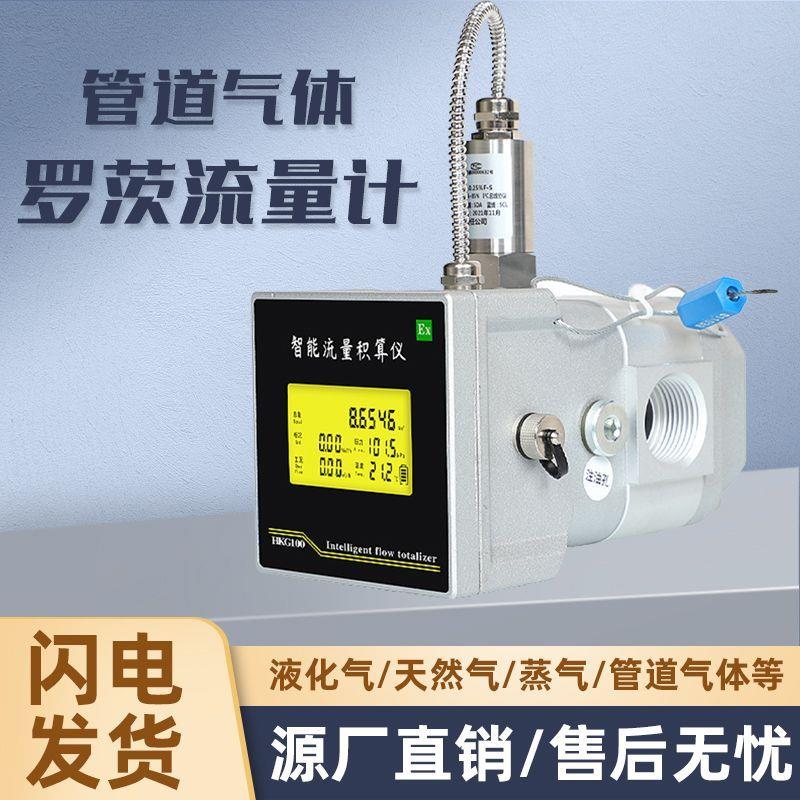 气体流量计管道式天然气