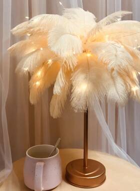 i氛n灯s小夜灯网红羽毛灯少女梦头幻北欧房间床装饰创意FDS节日围