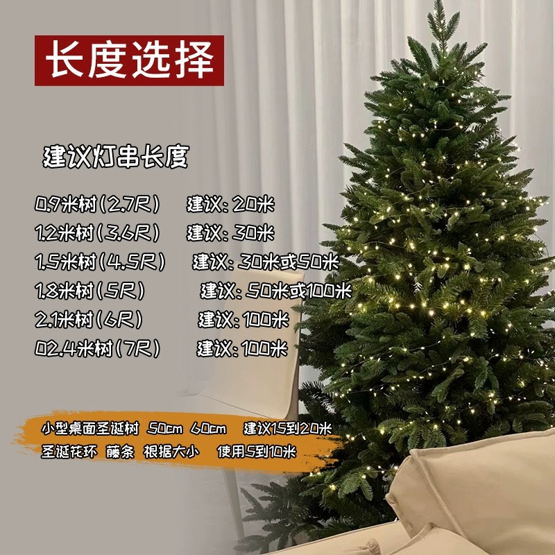 耶诞树灯具遥控装饰彩灯铜丝星星彩灯串灯满天星绿植耶诞花环装饰