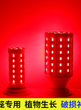 高亮灯笼灯泡LED红光玉米灯年货喜宴婚庆红色氛围植物生长猪肉灯