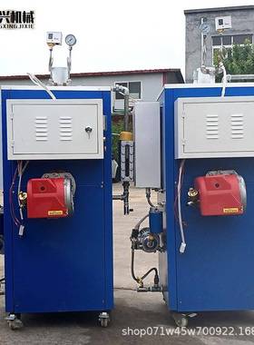 桥养护器加热蒸汽电发生器全自动工业燃油锅炉大型梁护混凝36kw土