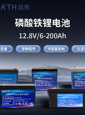 1V太阳能房464车大储能磷酸铁锂电池组应2急电源容量酸改铅锂电池