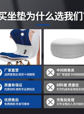家用矫居正坐姿椅办公垫室久坐舒适靠家大码腰ZD501椅垫护腰一体