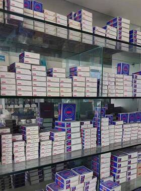 NS.K1恩斯克605-Z,60Z6-ZZ1,6217-ZZ,6219-ZZ深沟球HAM轴承