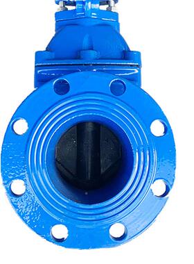 Z41启X-16Q法软密封橡明杆闸阀泉州质弹性座封闸阀兰法兰胶阀DNXA