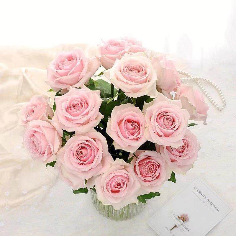 粉色小JGF清新玫瑰真花鲜花花粉红雪山鲜切花送礼家用店用花,鲜花速递/花卉仿真/绿植园艺,花材,淘宝优惠券,粉丝福利购,淘宝优惠卷