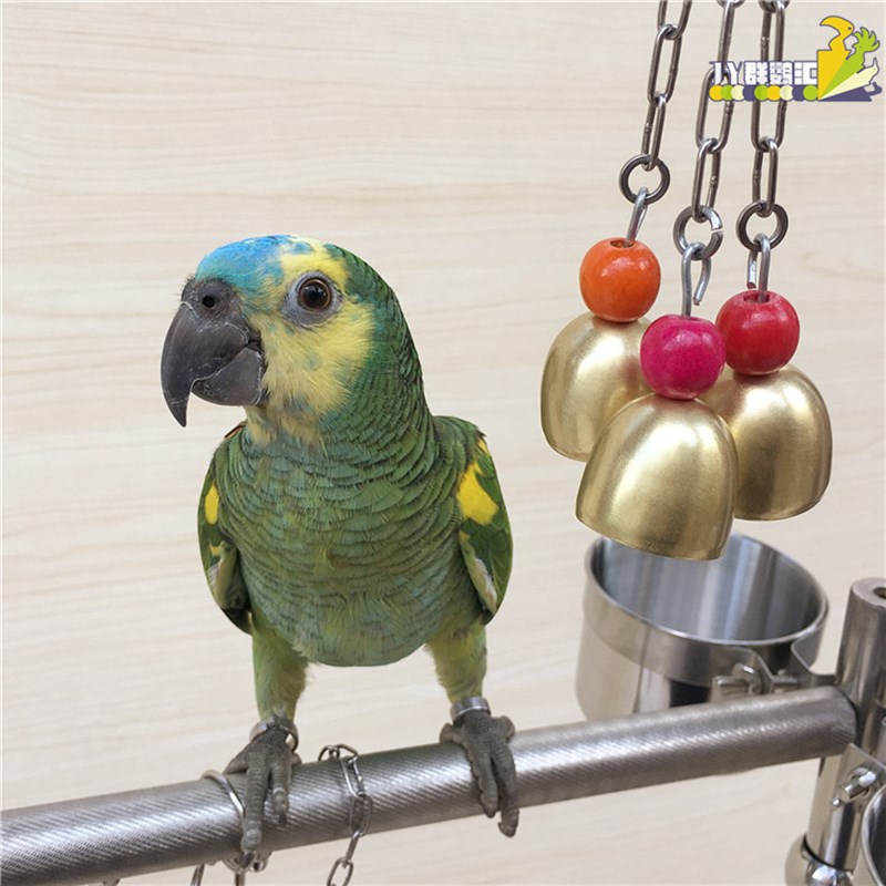 大中小型鹦鹉玩具铃铛 鹦鹉笼子玩具 站架铃铛 鸟类啃咬玩具