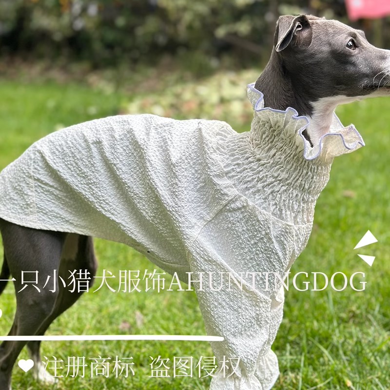 意大利小灵缇夏款公主泡泡裙防晒面料惠比特衣服