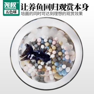 尧权鱼缸过滤材料水族箱五色石英中空球净水陶瓷环培细菌鱼缸滤材
