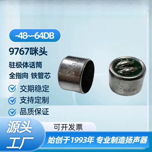9767型97×67mm平头SG铁管芯咪头
