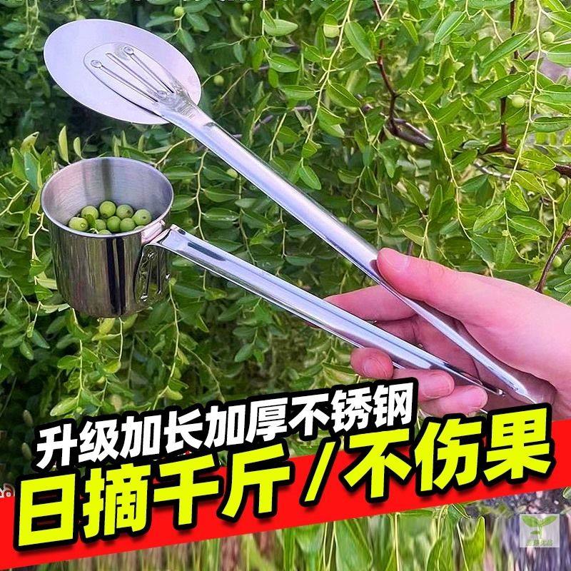 新款酸枣采摘神器工具摘山果小枣摘果器采山枣摘水果枸杞专用工具