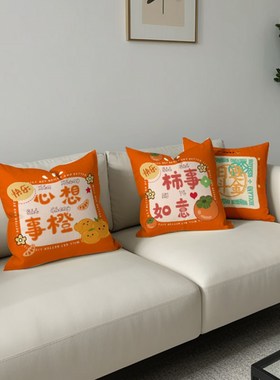 方形橙色文字抱枕客厅沙发靠枕办公室护腰靠背床靠垫不含芯枕外套