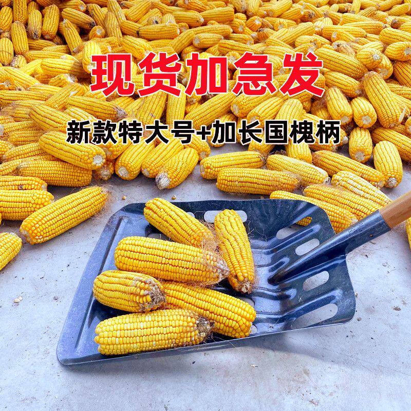 叉子装玉米芯神器脱粒九股叉子囤苞米棒子专用打苞米铲玉米漏粒锹,农机/农具/农膜,叉,淘宝优惠券,粉丝福利购,淘宝优惠卷