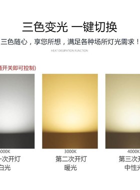 led筒灯12公分嵌入式天花灯5W12W15W20W30W洞灯高亮射灯三色变光