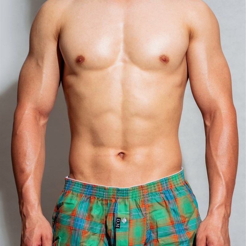 D.M男士内裤透气性感四角裤格子家居短裤纯棉阿罗裤 低腰平角裤薄