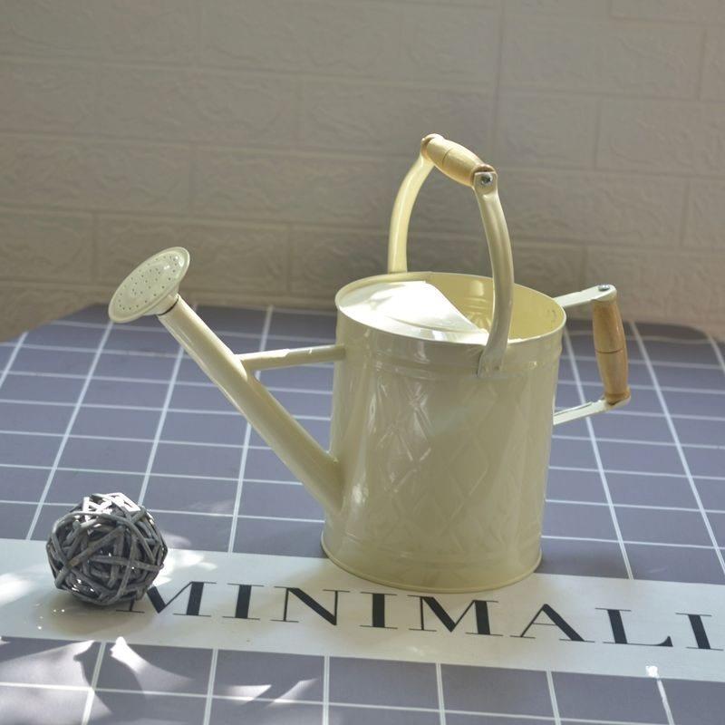 两用洒水壶浇花家用种BTH养铁大号浇花壶花大容菜量园艺喷壶